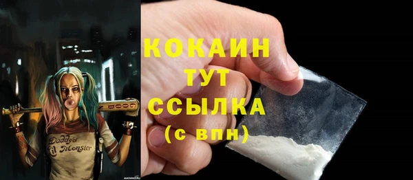 стаф Аркадак