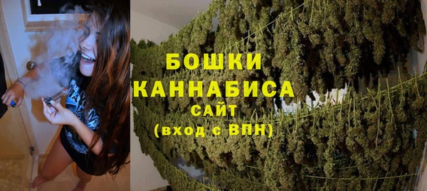 стаф Аркадак
