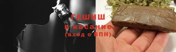 стаф Аркадак