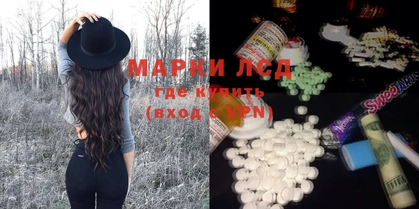 стаф Аркадак