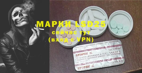 ГАЛЛЮЦИНОГЕННЫЕ ГРИБЫ Армянск