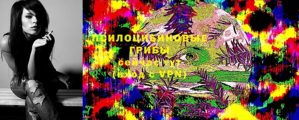 ГАЛЛЮЦИНОГЕННЫЕ ГРИБЫ Армянск