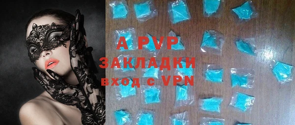 стаф Аркадак