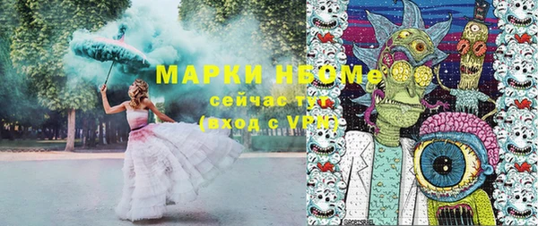 стаф Аркадак