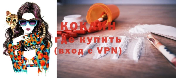 стаф Аркадак