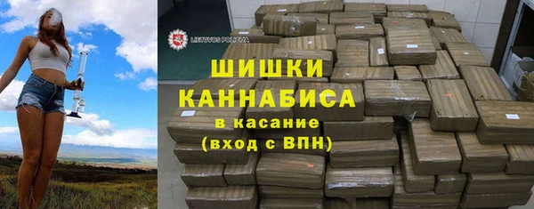 стаф Аркадак