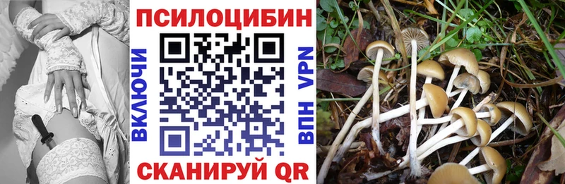 цена   Арсеньев  мориарти официальный сайт  Галлюциногенные грибы мицелий 